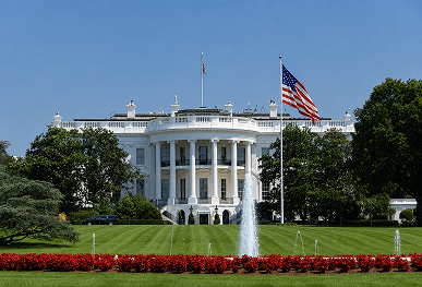White House illustration
